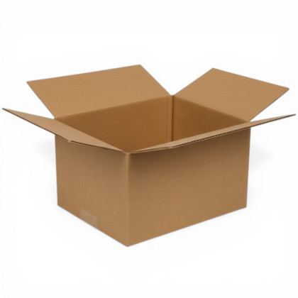 Carton 30x20x20 cm simple cannelure