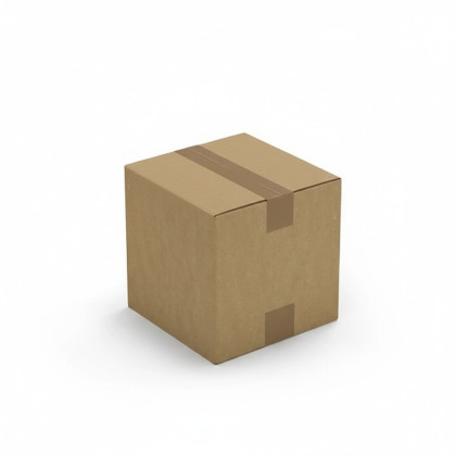 Carton 20x20x20 cm double cannelure