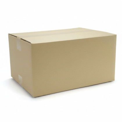 Carton 40x30x20 cm double cannelure