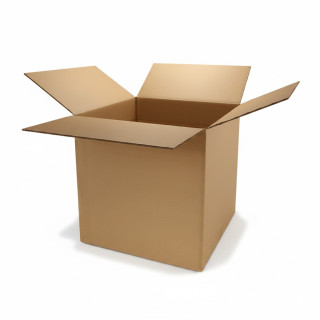Carton 50x50x50 cm double cannelure